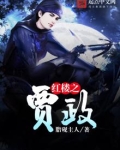 红楼之贾政