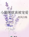 小猫咪就该被宠爱