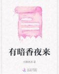有暗香夜来