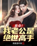 救命!我老公是绝世高手小说
