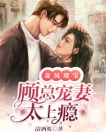 龙凤双宝:顾总宠妻太上瘾