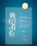 醉里挑灯看你