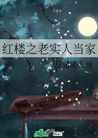 红楼之老实人当家书本网