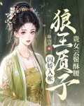 贵女云鬓酥腰,狼王质子囚娇入帐