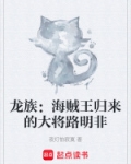 龙族海贼王归来的大将路明非