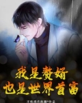 我是赘婿,也是世界首富