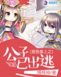 报告皇上之公子已出逃