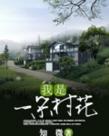 我是一朵村花