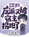 快穿之反派又被宿主拐跑了