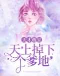 天才萌宝:天上掉下个爹地
