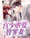 宫少虐爱替罪妻