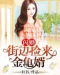 闪婚街边捡来金龟婿