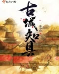 古城知县小说