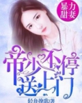 暴力甜妻:帝少不停送上门
