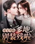 双宝驾临:爹地别装残啦