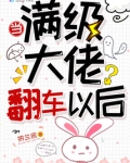 当满级大佬翻车以后