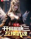 斗罗:开局和唐三互换武魂