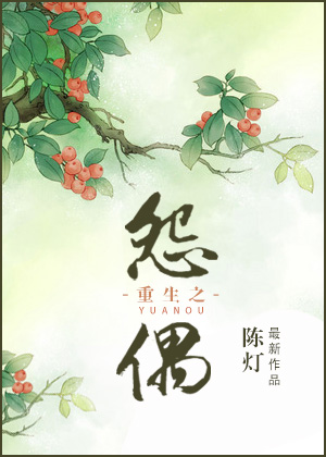 重生之怨偶TXT下载