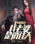 高手下山:我老婆是俏佳人