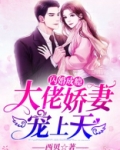 闪婚成瘾：大佬娇妻宠上天