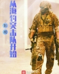 影视从海豹突击队开始