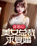 离婚后,美女总裁求复婚小说免费阅读
