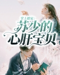 掌上婚宠：苏少的心肝宝贝
