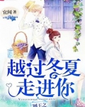 网王之越过冬夏走进你