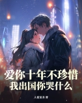 爱你十年不珍惜,我出国你哭什么?