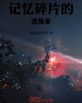 记忆碎片的追随者