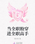 当全职粉穿进全职高手