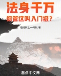 法身千万,你管这叫入门级?txt