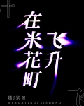 在米花町飞升