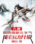 大唐:我的细胞太争气,能自动升级