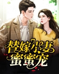 替嫁小妻蜜蜜宠