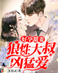 好孕甜妻:狼性大叔凶猛爱
