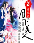 重生之月下美人
