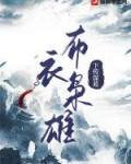 布衣枭雄