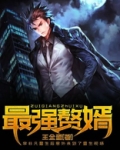 最强赘婿