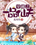 穿越之一品仙夫
