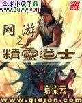 网游之精灵道士