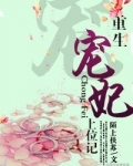 重生宠妃上位记