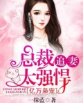 亿万枭宠,总裁追妻太强悍