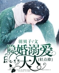 隐婚boos太难缠勉费阅读