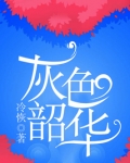 灰色韶华