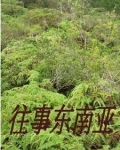 闯入缅北的一群人电影