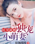 好孕成婚:独宠小萌妻