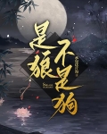 是狼不是狗狗小说