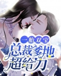 一胎双宝:总裁爹地超给力