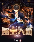重生之鉴宝大师